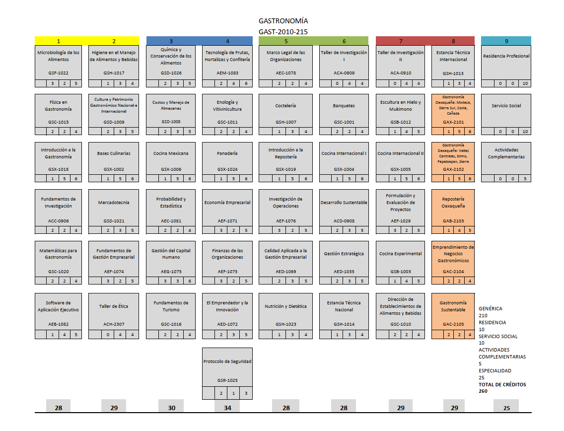Plan de Estudios Gastronomía
